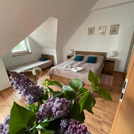 Marzenie 2 Osobowy Gasthof 3*