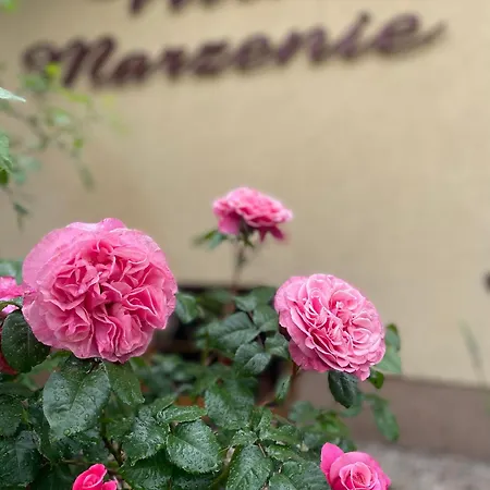 Marzenie 2 Osobowy Gasthof 3*