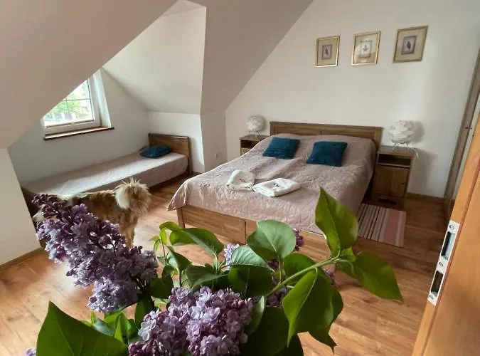 Marzenie 2 Osobowy Vendégház 3*