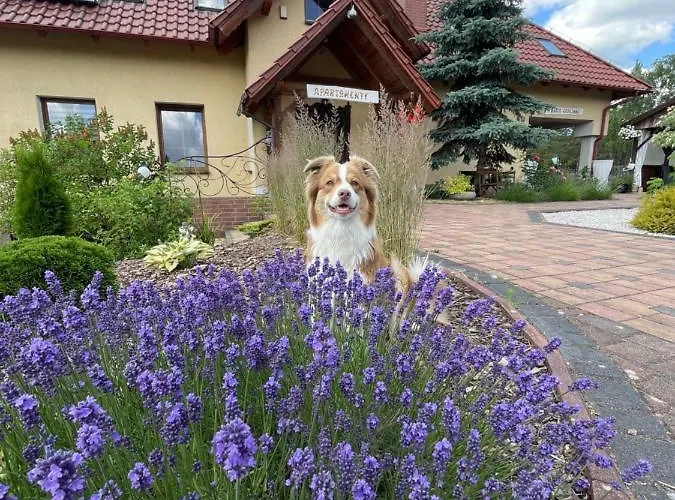 Marzenie 2 Osobowy Vendégház