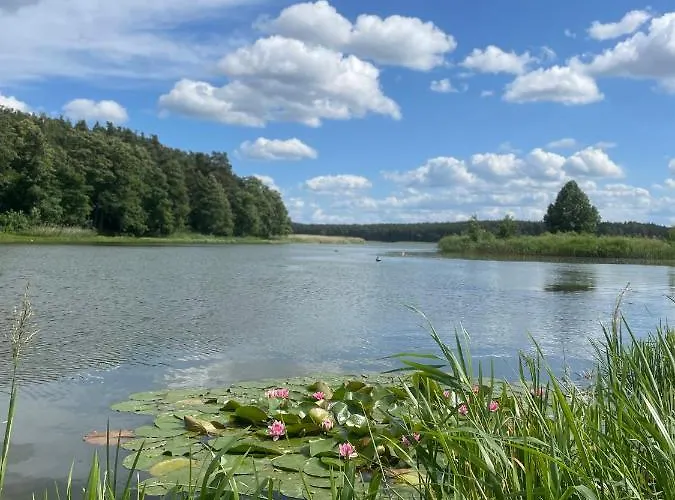 Vendégház Marzenie 2 Osobowy Wdzydze Kiszewskie