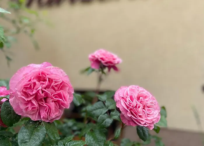 Marzenie 2 Osobowy Vendégház 3*